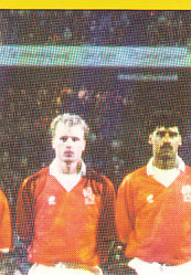 Team Photo Netherlands samolepka Semic EM 92 #210